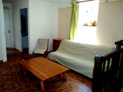 7vert_veine_salon